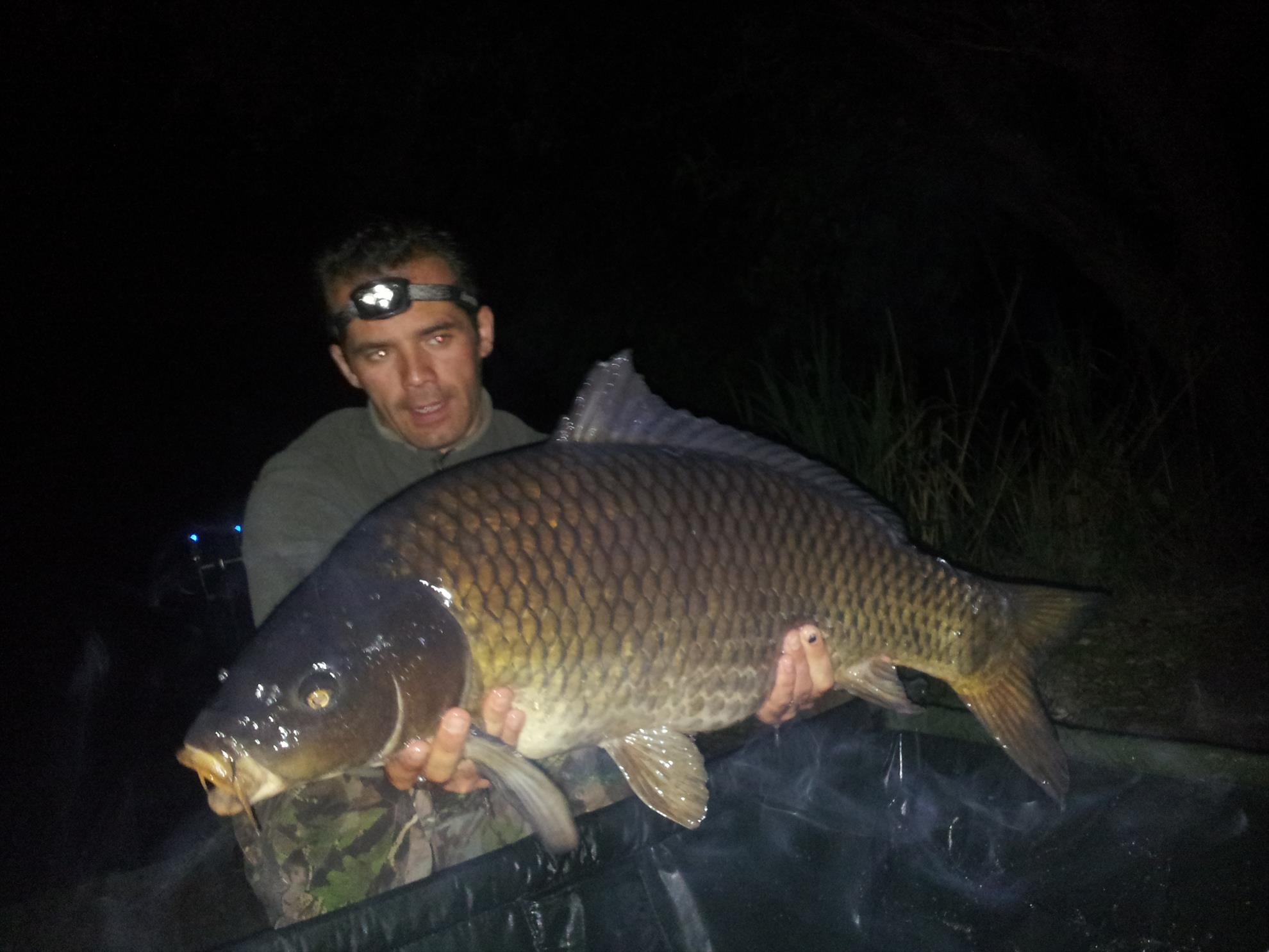 Tancabesti 1 - 4 iunie 2014 - 20140604001435.jpg